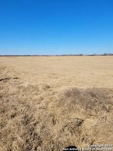 Natalia, Medina County, TX Undeveloped Land for sale Property ID: 417558347