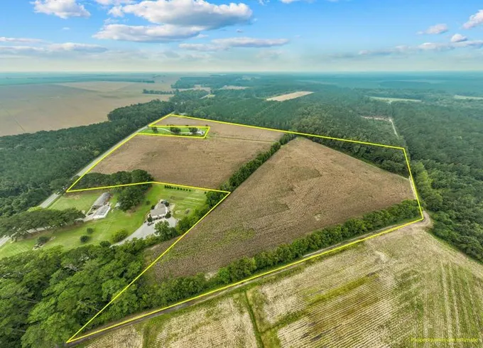 Plymouth, Washington County, NC Farms and Ranches, Timberland Property for sale Property ID: 417798642