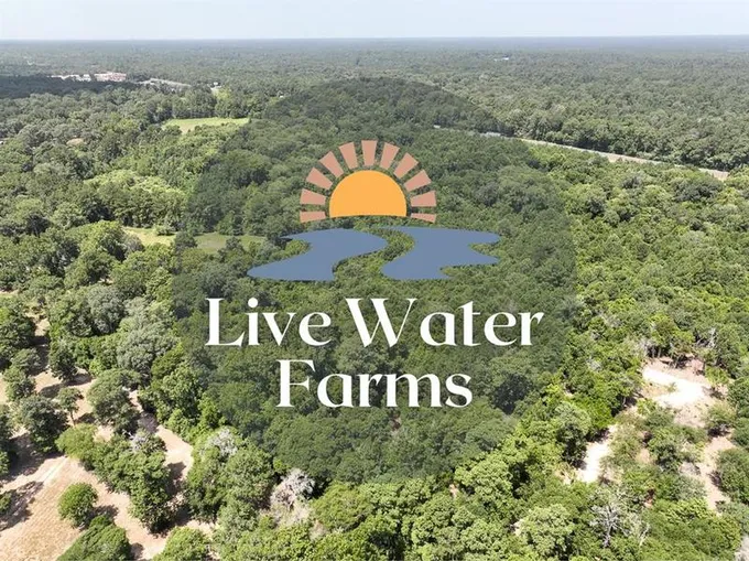 S1L3 Lake Pool Rd, Shepherd, TX 77371 for Sale