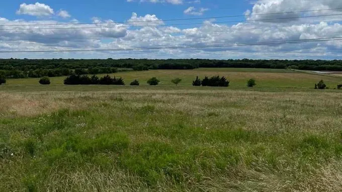 TBD County Rd 662 #3, Farmersville, TX 75442 for Sale