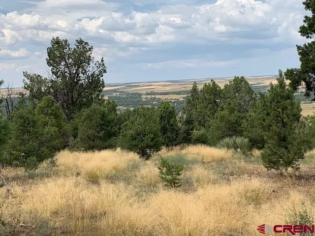 Dolores, Montezuma County, CO Undeveloped Land, Homesites for sale Property ID: 417458099