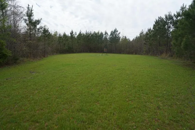 Georgiana, Conecuh County, AL Recreational Property, Timberland Property, Hunting Property for sale Property ID: 416145645