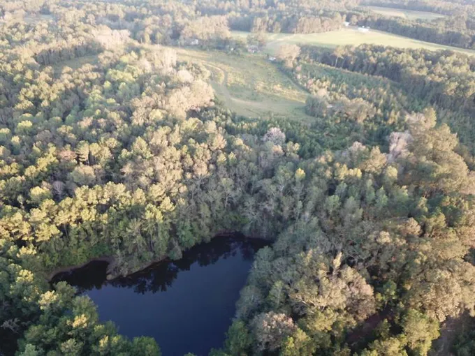 Clowers Crossroads, Coffee County, AL Recreational Property, Hunting Property for sale Property ID: 417916066