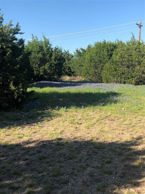 36008 Cedar View Ct, WHITNEY, TX 76692 for Sale