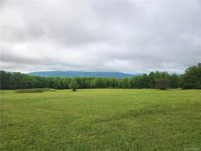STATE HWY 10, Other, NY 13786 Land For Sale  MLS# H6254062