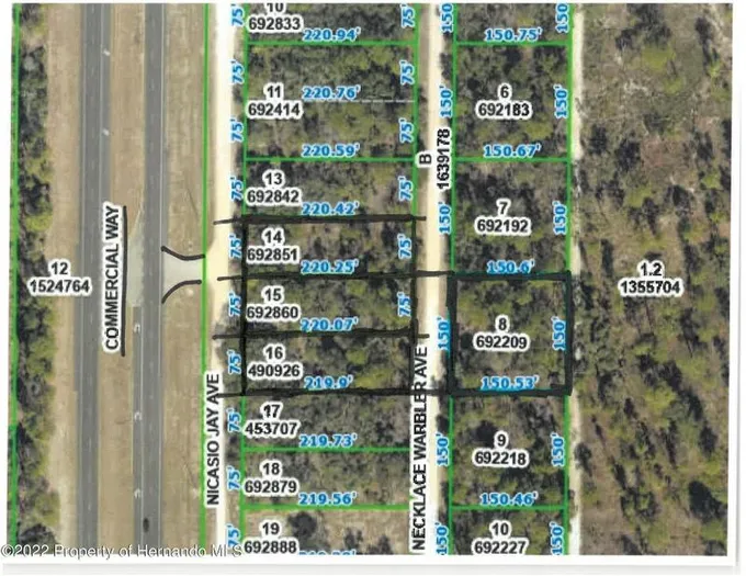Weeki Wachee, Hernando County, FL Commercial Property, Homesites for sale Property ID: 418146470
