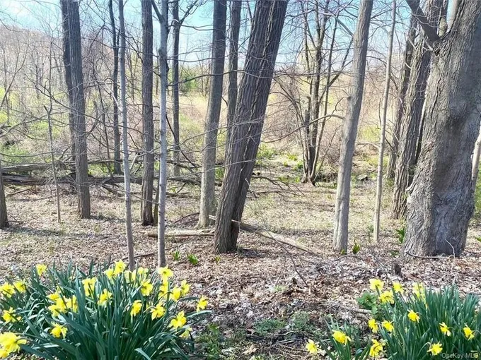 461 MAPLE RD, Brewster, NY 10509 Land For Sale  MLS# H6180712
