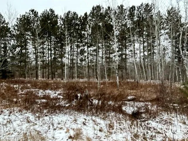 TBD4 LARSON, Atlantic Mine, MI 49905 Land For Sale  MLS# 50131264