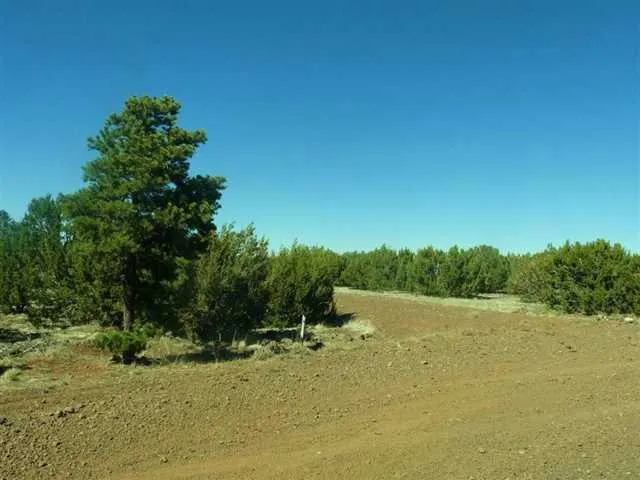 TBD ELK SHADOWS, Vernon, AZ 85940 Manufactured Home For Sale  MLS# 249142
