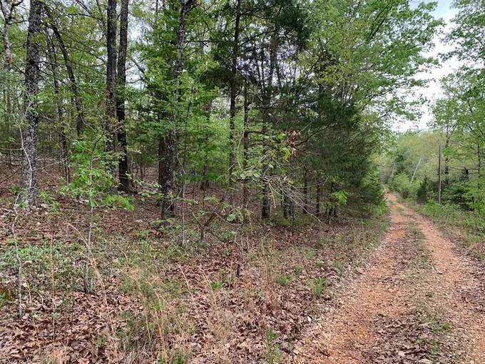 Lot 13 Old CCC Rd, Other, AR 72542 for Sale