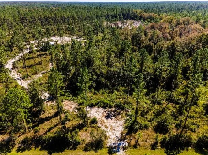 NE 150th, Fort Mc Coy, FL 32134 - MLS OM647376 for Sale
