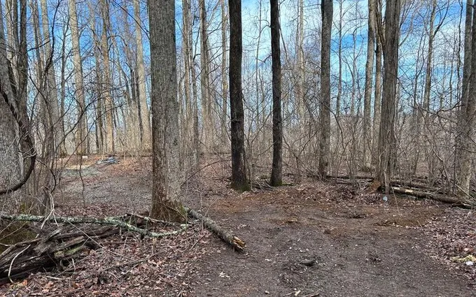231 Bear Gap Rd, Blairsville, GA 30512  MLS# 330728 for Sale