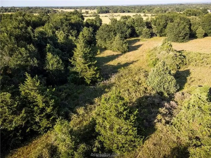 3 ACRES PR 2019, Caldwell, TX 77836 Land For Sale  MLS# 24000687