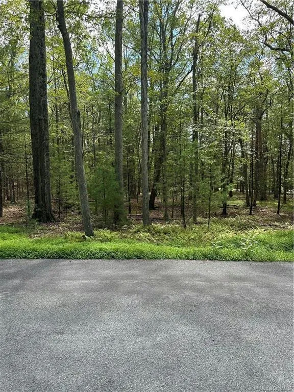 MAGNOLIA DRIVE, Glen Spey, NY 12737 Land For Sale  MLS# H6266267