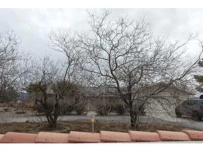 Red Rock Dr for Sale