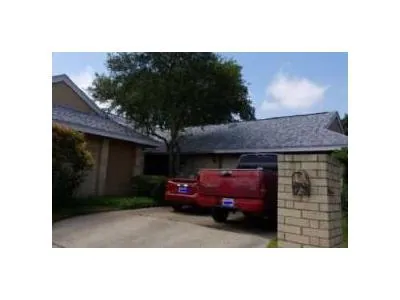 Silverberry Cv for Sale