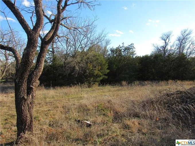 TBD CR 421, Evant, TX 76525 for Sale