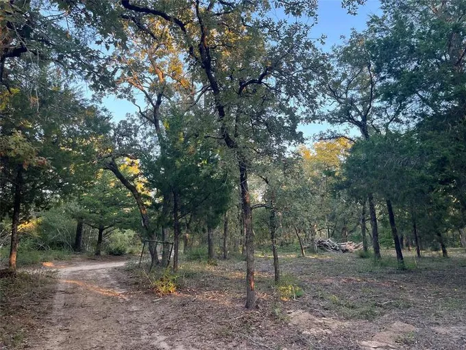 1435 Sundown Rd, Caldwell, TX 77836 for Sale