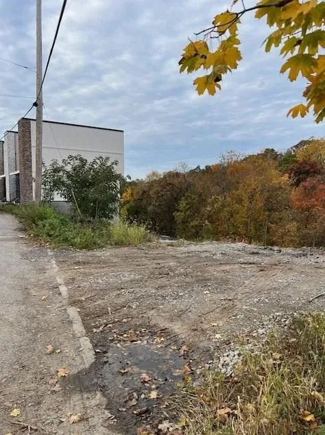 468 Grace St, Pittsburgh, PA 15211 - MLS 1634440 for Sale