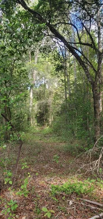 TBD 3 Eldon Ln, Shepherd, TX 77371 for Sale