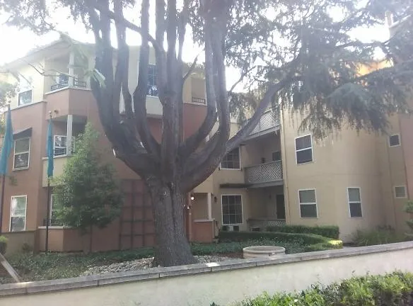 Gadberry Courts Apartments - 2555 Alum Rock Ave - San Jose, CA Apartments for Rent