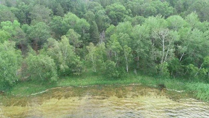 XXS E HORSESHOE LAKE ROAD, Merrifield, MN 56465 Land For Sale  MLS# 6473747