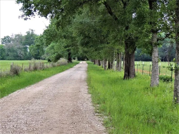 941 CR 4110, Crockett, TX 75835 for Sale