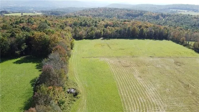 Unadilla, Otsego County, NY Undeveloped Land for sale Property ID: 418421962