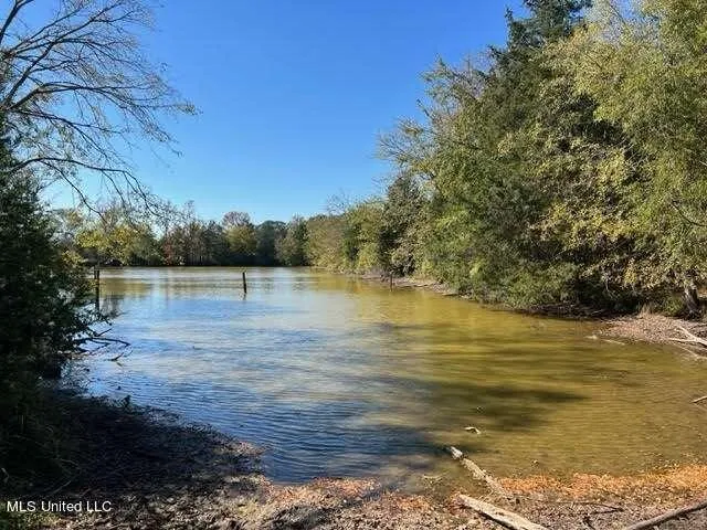 50 Skating Rink Rd, Byhalia, MS 38611  607228986 for Sale