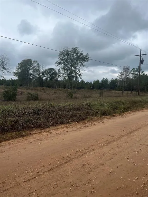 TBD County Road 4502, Hillister, TX 77624 for Sale