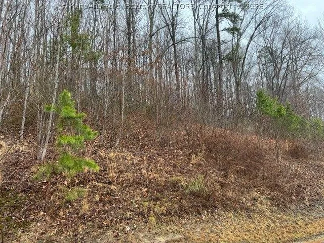 Charleston, Kanawha County, WV Undeveloped Land, Homesites for sale Property ID: 415596217