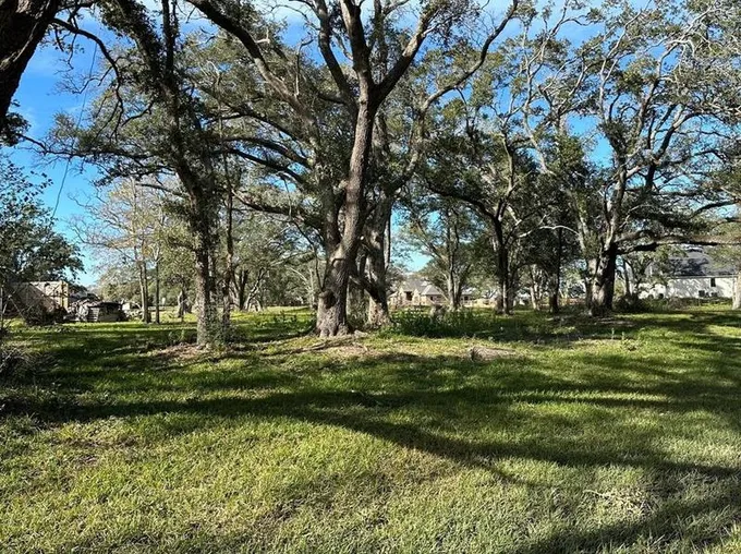 148 Legend Ln, Angleton, TX 77515 - MLS 41406765 for Sale
