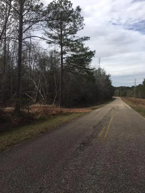 Hybart, Monroe County, AL Recreational Property, Undeveloped Land, Hunting Property for sale Property ID: 336789031