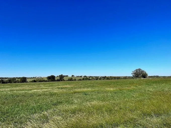 Lot 6 Caney Creek Road-Chadwick Hogan Estates, Chappell Hill, TX 77426 for Sale
