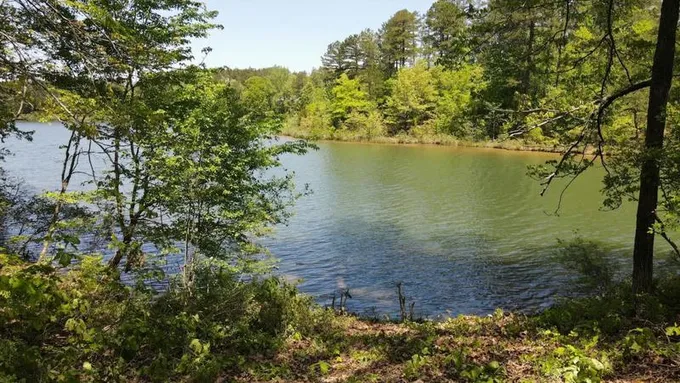 42 LAKEWOOD CV # CWL42, Saulsbury, TN 38067 Land For Sale  MLS# 10146713