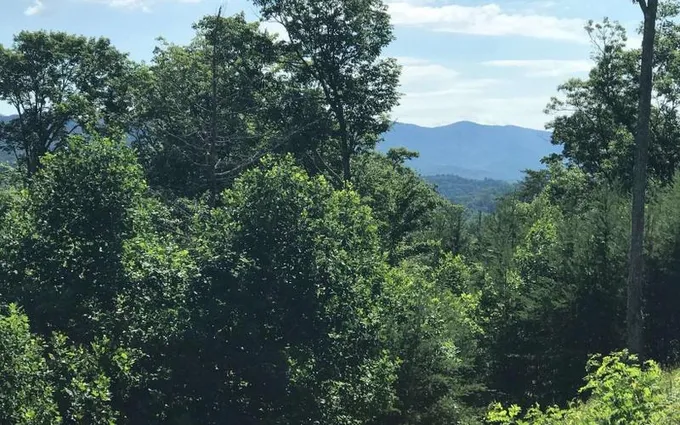Hiawassee, Towns County, GA Undeveloped Land, Homesites for sale Property ID: 417330436