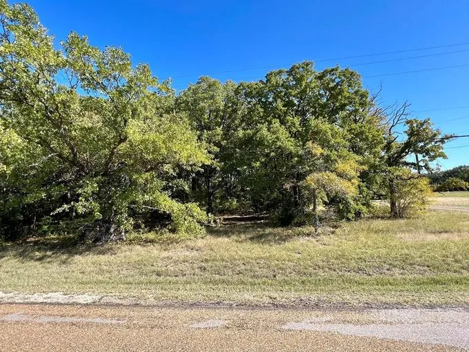 0 Water Oak, Trinidad, TX 75165 for Sale