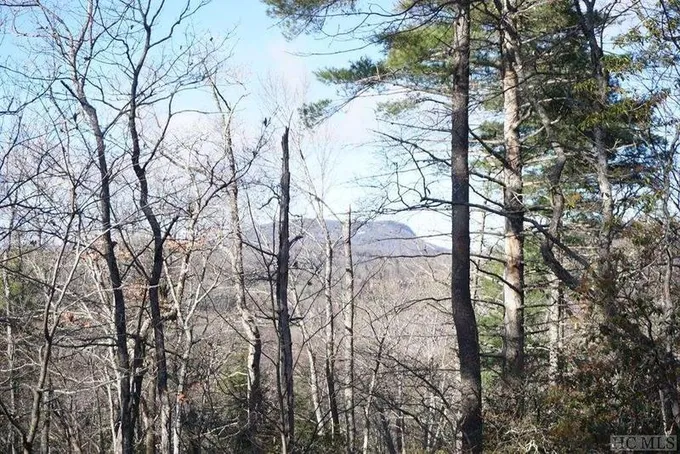 TBD Bowery Road, Highlands, NC 28741  613172424 for Sale