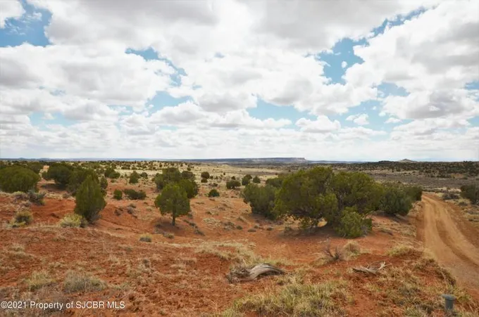 XX ROAD 1191, La Plata, NM 87418 Land For Sale  MLS# 22-1502