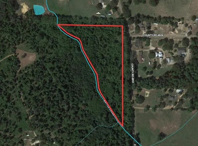 1394 VZ COUNTY ROAD 4810, Ben Wheeler, TX 75754 for Sale