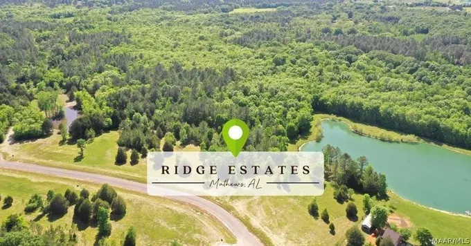 Mathews, Montgomery County, AL Undeveloped Land for sale Property ID: 412367187