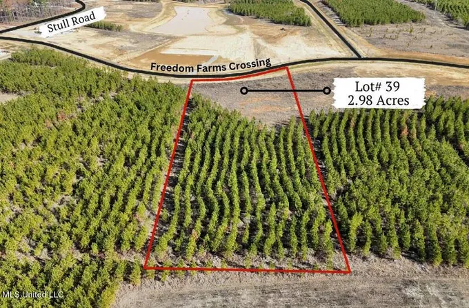 1013 FREEDOM FARMS CROSSING, Brandon, MS 39047 Land For Sale  MLS# 4066182