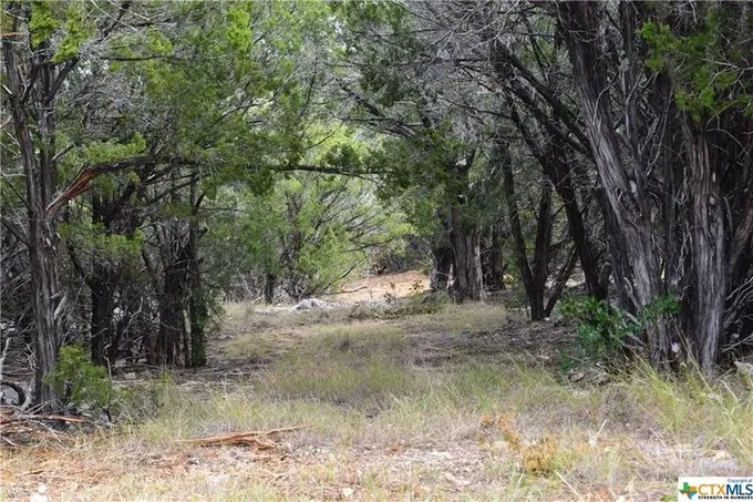 Lampasas, Lampasas County, TX Farms and Ranches for sale Property ID: 415372166