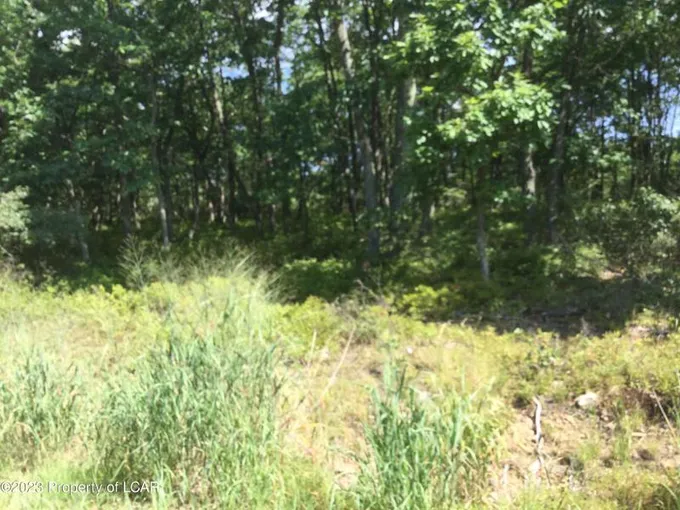 Hazleton, Luzerne County, PA Undeveloped Land, Homesites for sale Property ID: 416240887