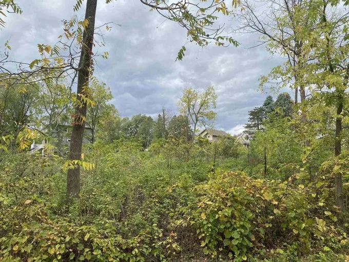 LOT 32 RAUSCH ROAD, Lodi, WI 53555 Land For Sale  MLS# 1965215