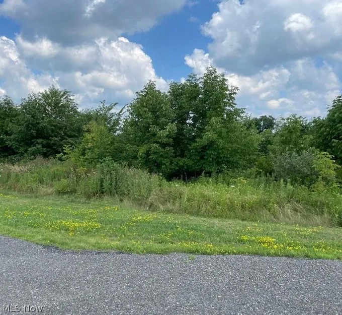 Lisbon, Columbiana County, OH Undeveloped Land, Homesites for sale Property ID: 414275624