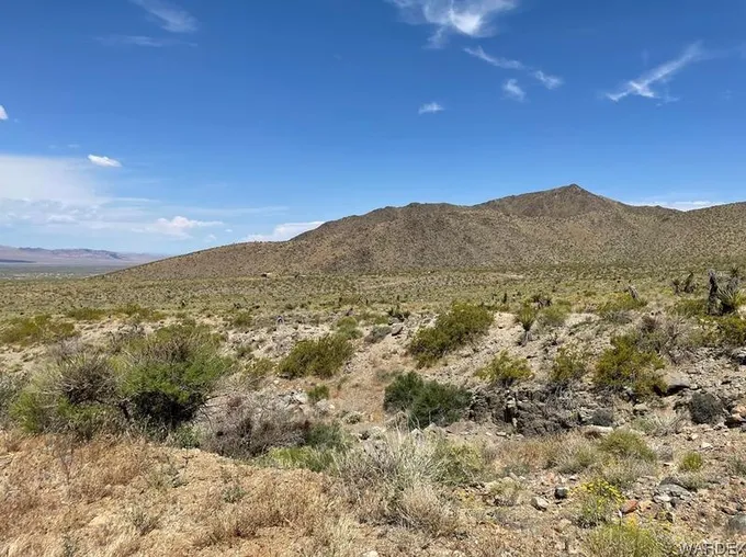 0 Mesquite Road Rd, Dolan Springs, AZ 86441 - MLS 001665 for Sale