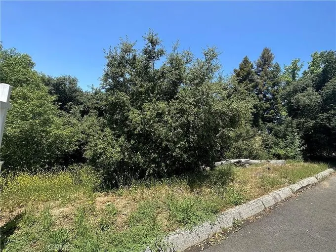 Yucaipa, San Bernardino County, CA Undeveloped Land for sale Property ID: 417310566
