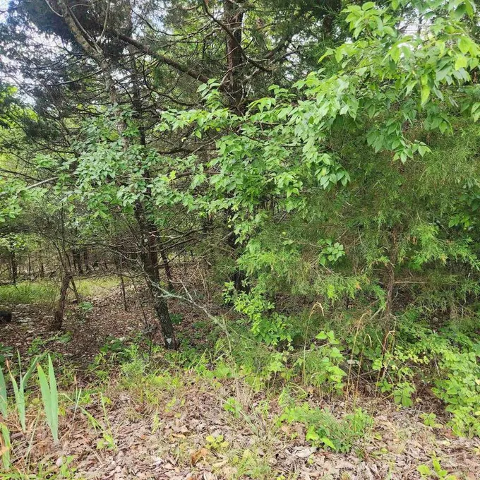 Cherokee Village, Sharp County, AR Undeveloped Land, Homesites for sale Property ID: 416915908