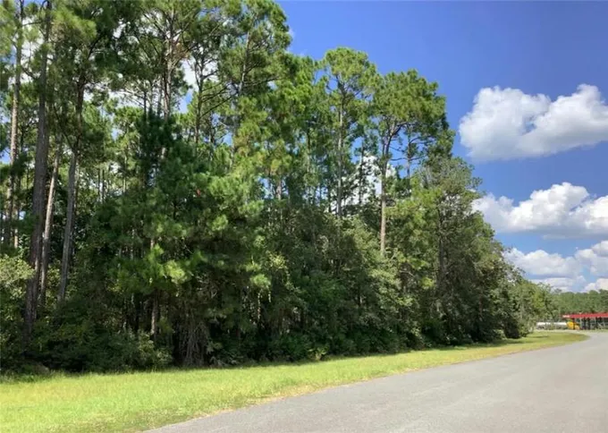 0 HADDOCK ROAD, St Marys, GA 31558 Land For Sale  MLS# 1641080